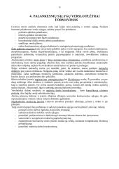Rinkos reguliavimo ekonomika 9 puslapis