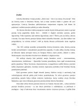 Romantinė ironija A. Jonyno ir H. Radausko poezijoje 2 puslapis