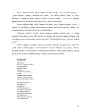 Romantinė ironija A. Jonyno ir H. Radausko poezijoje 20 puslapis