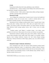 Romantinė ironija A. Jonyno ir H. Radausko poezijoje 5 puslapis