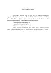 Ruožo stoties kelių tinklo plėtra 5 puslapis