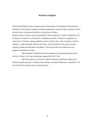 Ruožo stoties kelių tinklo plėtra 10 puslapis