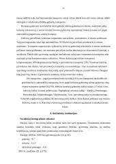 Rusijos ekonomika 19 puslapis