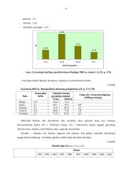 Rusijos ekonomika 20 puslapis