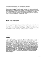 Salyklinių miežių produktyvumo formavimas 4 puslapis