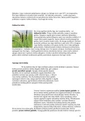 Salyklinių miežių produktyvumo formavimas 10 puslapis