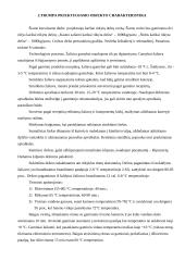 Sąnaudos ir ekonominiai rodikliai: mėsos cechas 2 puslapis