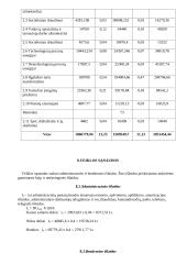 Sąnaudos ir ekonominiai rodikliai: mėsos cechas 19 puslapis