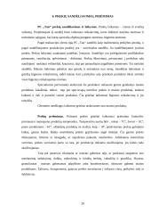 Sandėliavimo optimizavimas prekybos įmonėje "Tau" 19 puslapis