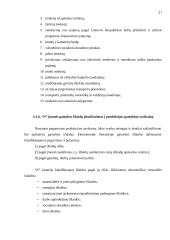 Sąskaitų planas įmonėje 20 puslapis