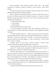Sąskaitų planas įmonėje 5 puslapis