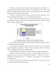 Seksualinių mažumų ir visuomenės konfliktai 18 puslapis