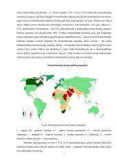 Seksualinių mažumų problematika Lietuvoje 7 puslapis