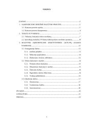 Skaitymo sąmoningumo ugdymas žemesnėse klasėse 2 puslapis