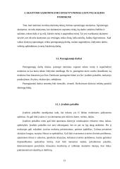 Skaitymo sąmoningumo ugdymas žemesnėse klasėse 13 puslapis