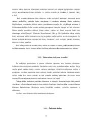 Skaitymo sąmoningumo ugdymas žemesnėse klasėse 15 puslapis