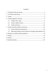 Skurdo problema Lietuvoje 2 puslapis