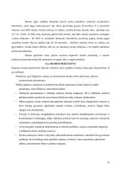 Skurdo problema Lietuvoje 16 puslapis