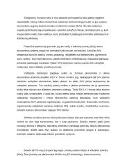 Smulkaus verslo vaidmuo rinkoje 2 puslapis