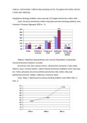 Smulkaus verslo vaidmuo rinkoje 13 puslapis