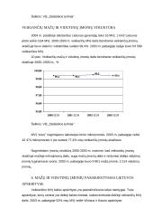 Smulkaus verslo vaidmuo rinkoje 16 puslapis