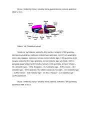 Smulkaus verslo vaidmuo rinkoje 17 puslapis