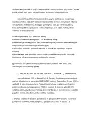 Smulkaus verslo vaidmuo rinkoje 3 puslapis