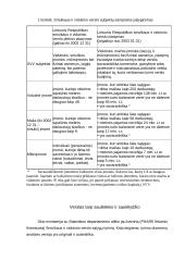 Smulkaus verslo vaidmuo rinkoje 4 puslapis