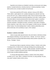 Smulkaus verslo vaidmuo rinkoje 5 puslapis