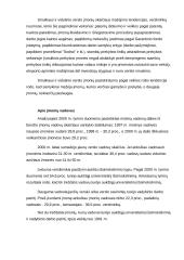 Smulkaus verslo vaidmuo rinkoje 6 puslapis