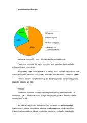 Smulkaus verslo vaidmuo rinkoje 7 puslapis