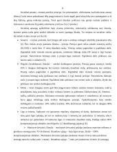 Socialinė apsauga Lietuvoje 6 puslapis