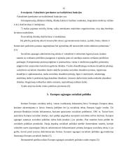 Socialinė apsauga Lietuvoje 10 puslapis