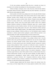 Socialinės rizikos samprata ir jos šaltiniai 18 puslapis