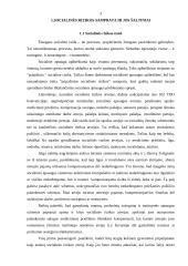 Socialinės rizikos samprata ir jos šaltiniai 3 puslapis
