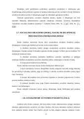 Socialinio draudimo įmokos 11 puslapis
