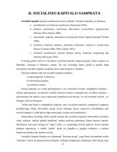 Socialinio kapitalo samprata 12 puslapis