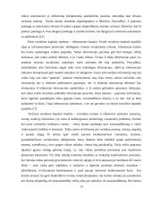 Socialinio kapitalo samprata 13 puslapis