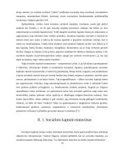 Socialinio kapitalo samprata 14 puslapis