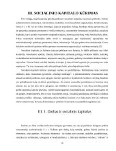 Socialinio kapitalo samprata 16 puslapis