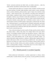 Socialinio kapitalo samprata 17 puslapis