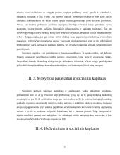 Socialinio kapitalo samprata 18 puslapis