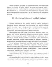 Socialinio kapitalo samprata 19 puslapis