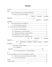 Socialinio kapitalo samprata 3 puslapis