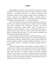 Socialinio kapitalo samprata 6 puslapis