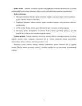 Socialinio kapitalo samprata 7 puslapis