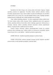 Sprendimo parengimas ir priėmimas 2 puslapis