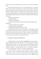 Sprendimo parengimas ir priėmimas 11 puslapis