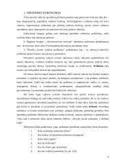 Sprendimo parengimas ir priėmimas 3 puslapis