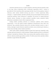 Sprendimo priėmimas organizacijos valdyme 3 puslapis